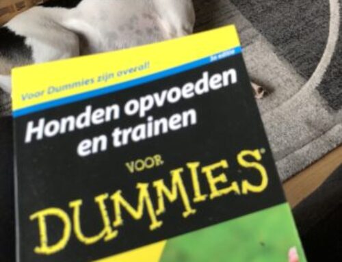 De vierde keer bijt ik!